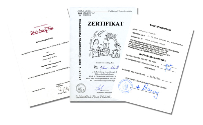 Johannes Schmidt Zertifikate